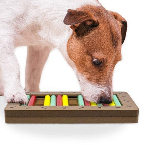 Brainiac Rollie-Pollie™ – Godterilekende for kjæledyr